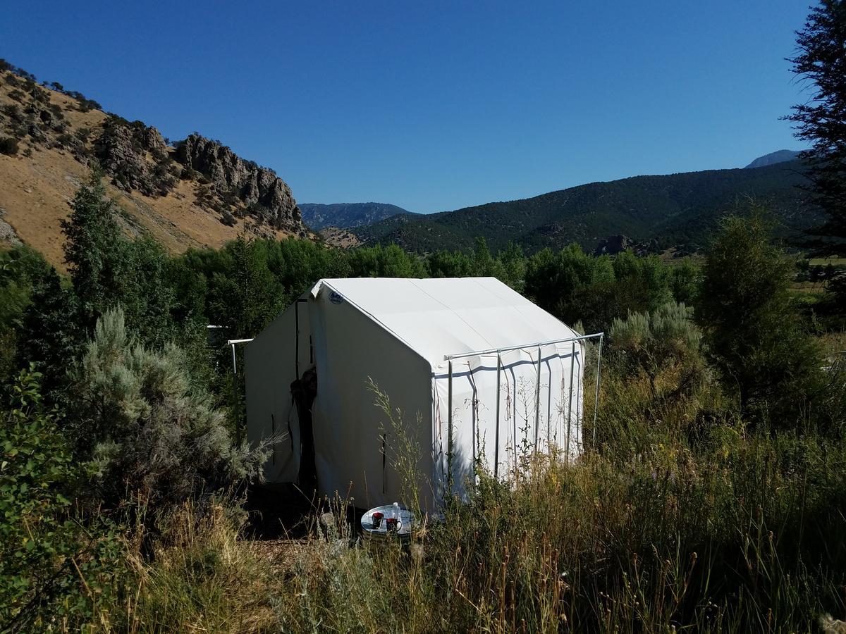 Bristol Cabins Lava Hot Springs Exterior foto